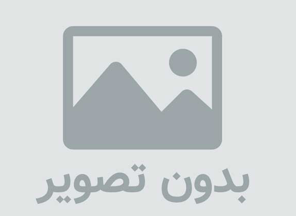 قالب وبلاگ زیبای طوطی